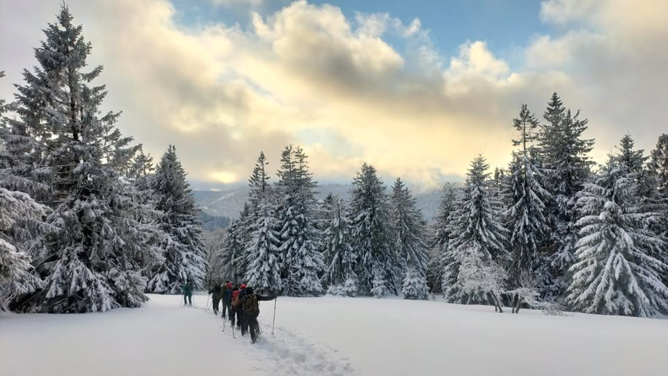 Balade en Raquettes – Le Grand Valtin