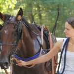 course hippique