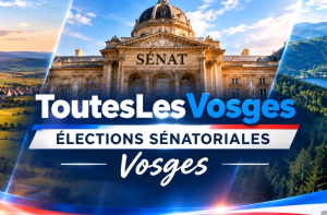 Sénat election vosges 2026