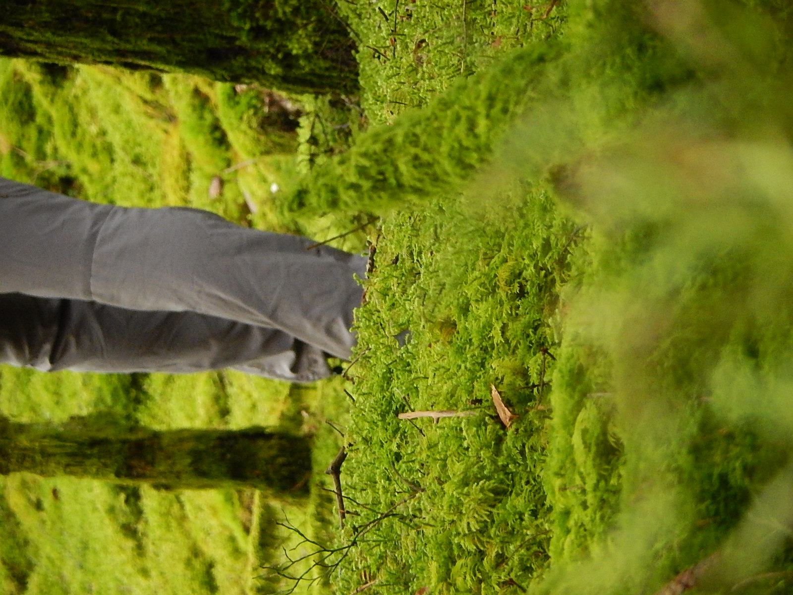 Balade méditative et poétique en nature