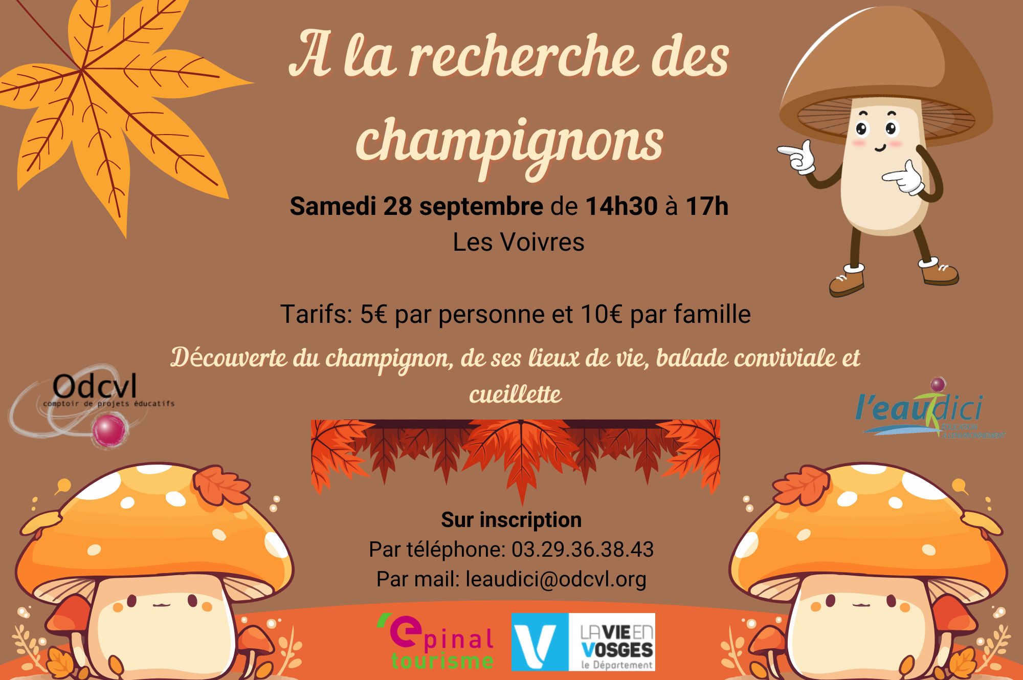 A la recherche des champignons