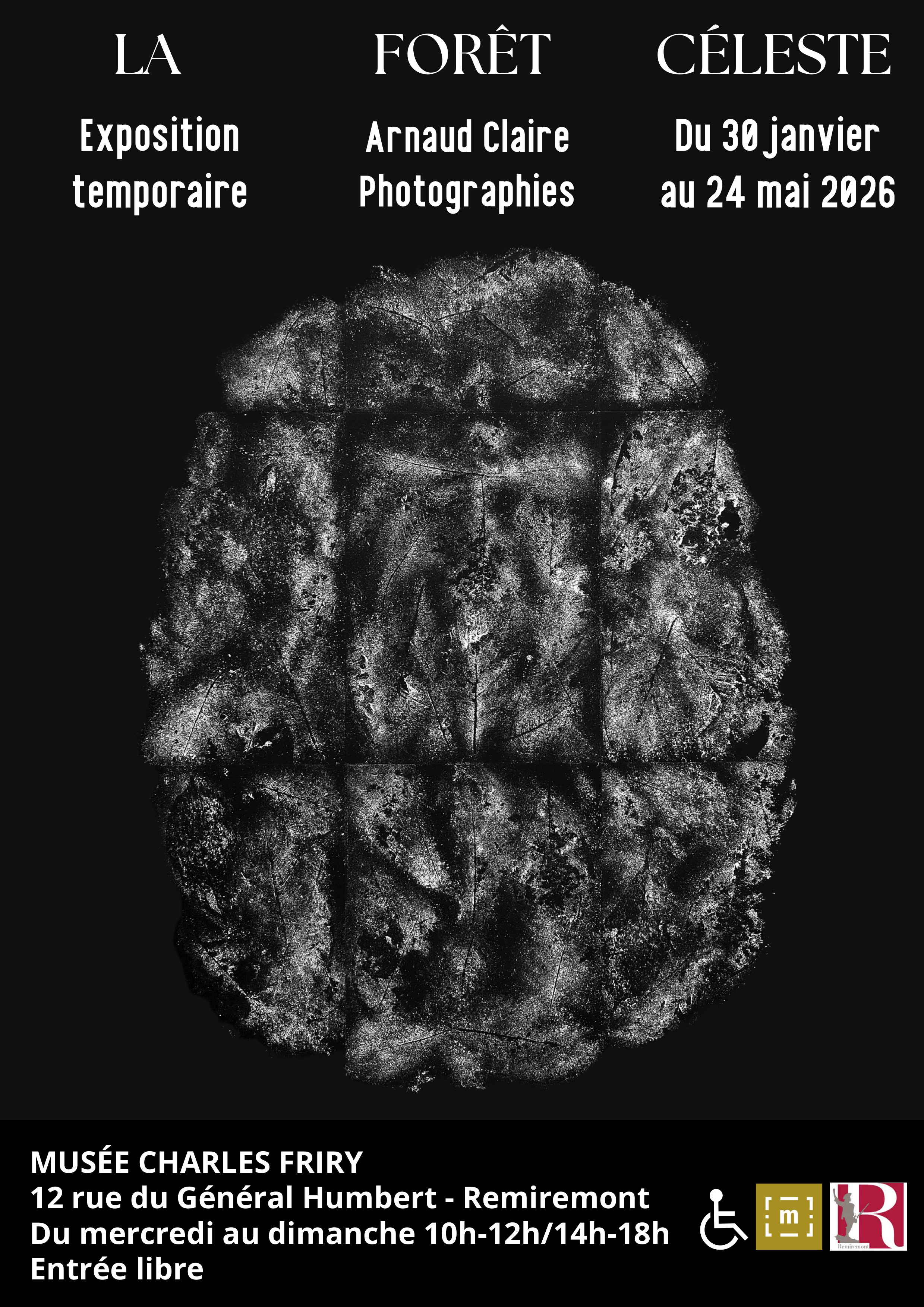 Exposition de photographies d&rsquo;Arnaud Claire, La Forêt céleste